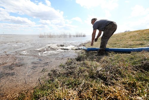 RUTH BONNEVILLE / WINNIPEG FREE PRESS 


LOCAL - Flooding story near Morris Mb. 
Farmer, Hubs Sabourin, moves a hose pumping out water from a diked area of his land to keep his farm vehicles from water.  About 4,000 acres of his land is flooded as of Monday.

Sabourin's farm is  in the area of RM of Franklin, southeast  of Morris, where farmers are experiencing flooding on their farmland.  

See Kevin Rollason's story.


April 22, 2019