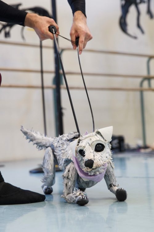 MIKE DEAL / WINNIPEG FREE PRESS
Cameron Fraser-Monroe an RWB Aspirant with Toto just before it is packed up to be transported to the Centennial Concert Hall for the RWB production of The Wizard of Oz which will be running May 1-5.
190425 - Thursday, April 25, 2019.