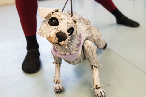 MIKE DEAL / WINNIPEG FREE PRESS
Cameron Fraser-Monroe an RWB Aspirant with Toto just before it is packed up to be transported to the Centennial Concert Hall for the RWB production of The Wizard of Oz which will be running May 1-5.
190425 - Thursday, April 25, 2019.