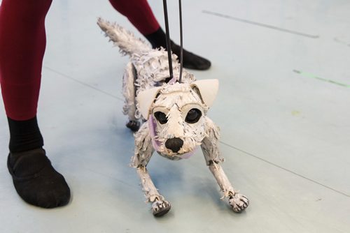 MIKE DEAL / WINNIPEG FREE PRESS
Cameron Fraser-Monroe an RWB Aspirant with Toto just before it is packed up to be transported to the Centennial Concert Hall for the RWB production of The Wizard of Oz which will be running May 1-5.
190425 - Thursday, April 25, 2019.