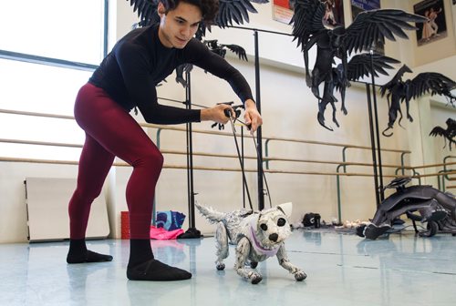 MIKE DEAL / WINNIPEG FREE PRESS
Cameron Fraser-Monroe an RWB Aspirant with Toto just before it is packed up to be transported to the Centennial Concert Hall for the RWB production of The Wizard of Oz which will be running May 1-5.
190425 - Thursday, April 25, 2019.