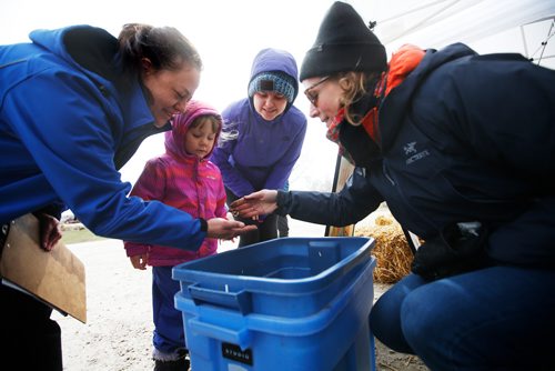 JOHN WOODS / WINNIPEG FREE PRESS
Denae Penner, right, with Green Action Centre shows Sadie Percher, centre, her grandmother Tracy Mahon and mother Jennifer Bialecat worms from a worm compost at the Fort Whyte Earth Day event in Winnipeg Sunday, April 28, 2019.

Reporter: standup