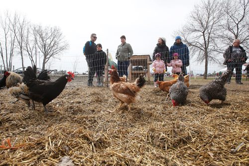 JOHN WOODS / WINNIPEG FREE PRESS
Families come out and take in the sights and sounds at the Fort Whyte Earth Day event in Winnipeg Sunday, April 28, 2019.

Reporter: standup