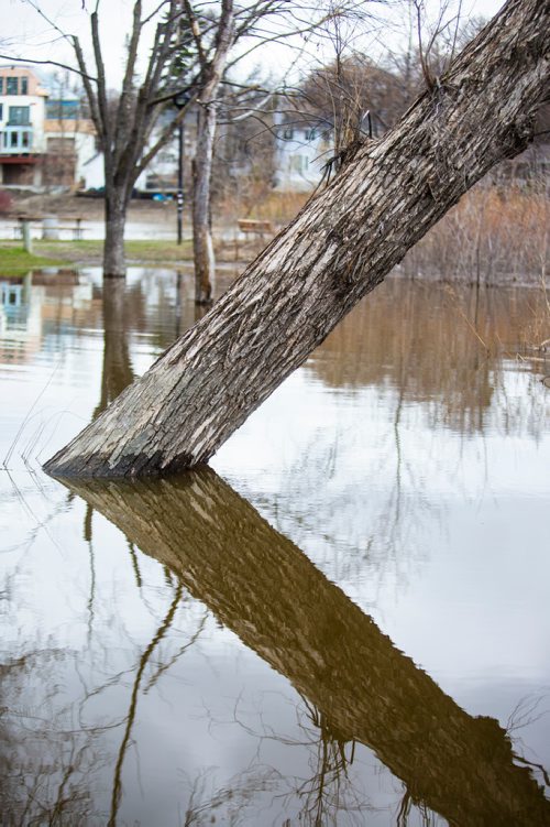 MIKAELA MACKENZIE/WINNIPEG FREE PRESS
The flooded Omand's Creek bridge in Wolseley in Winnipeg on Monday, April 29, 2019. 
Winnipeg Free Press 2019