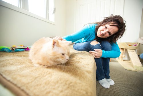 MIKAELA MACKENZIE/WINNIPEG FREE PRESS
Dale, a street cat who was saved by a number of people working together to socialize him to be the affectionate and approachable cat he is now, and his foster mom Brenda Meyer in St. Andrews on Tuesday, April 30, 2019. For Ashley Prest story.
Winnipeg Free Press 2019