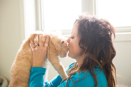 MIKAELA MACKENZIE/WINNIPEG FREE PRESS
Dale, a street cat who was saved by a number of people working together to socialize him to be the affectionate and approachable cat he is now, in St. Andrews on Tuesday, April 30, 2019. For Ashley Prest story.
Winnipeg Free Press 2019