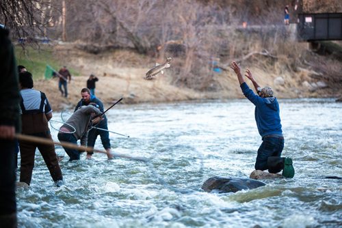 MIKAELA MACKENZIE/WINNIPEG FREE PRESS
Sucker fishing in Westbourne, Manitoba on Monday, April 22, 2019. 
Winnipeg Free Press 2019