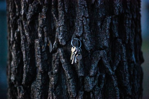 MIKAELA MACKENZIE/WINNIPEG FREE PRESS
A lost set of keys hangs on a tree in a popular sucker fishing area in Westbourne, Manitoba on Monday, April 22, 2019. 
Winnipeg Free Press 2019