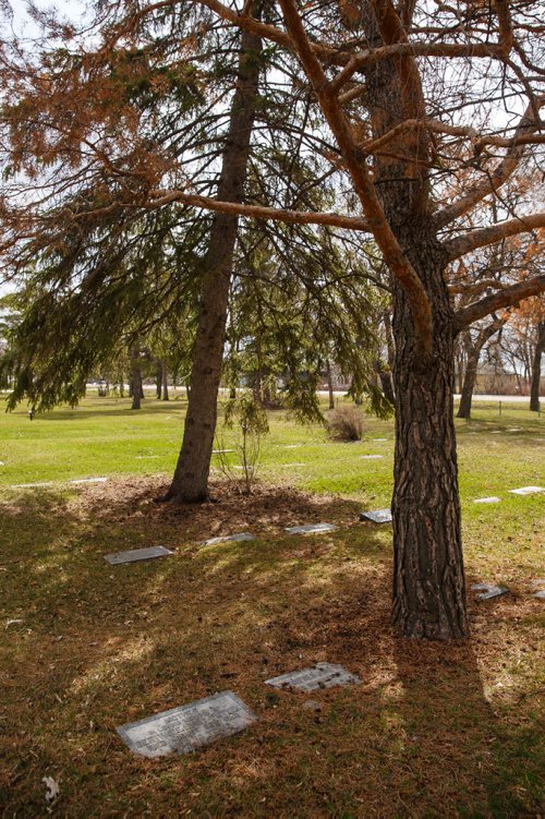 MIKE DEAL / WINNIPEG FREE PRESS
The headstone for Gertrude Mary Puttee.
Paul Moist, past president of CUPE, Brookside Cemetery tour coordinator, does tours of the cemetery, focusing on 14 people from the strike demonstration, who are buried at Brookside.
190430 - Tuesday, April 30, 2019.

see Jessica Botelho-Urbanski story