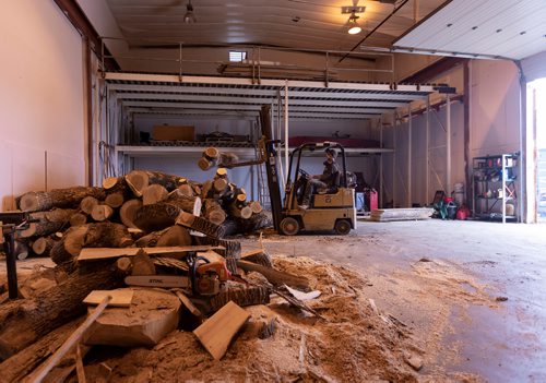 SASHA SEFTER / WINNIPEG FREE PRESS
Owner of WPG Timber Co. Mike McGarry moves a diseased ash tree into his warehouse in Winnipeg's Chevrier neighbourhood.
190501 - Wednesday, May 01, 2019.