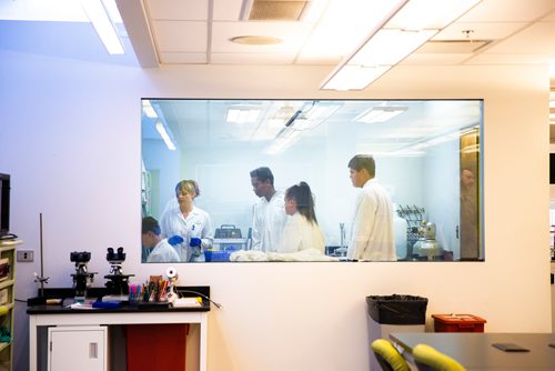 MIKAELA MACKENZIE/WINNIPEG FREE PRESS
Grade 10 students from the Medical Careers Exploration Program at Windsor Park Collegiate work with rat bone marrow stem cell samples at the Youth BIOlab at the Albrechtsen Research Centre in Winnipeg on Thursday, May 2, 2019. 
Winnipeg Free Press 2019