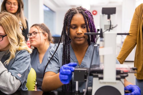 MIKAELA MACKENZIE/WINNIPEG FREE PRESS
Grade 10 students from the Medical Careers Exploration Program at Windsor Park Collegiate Iesha Carter examines cell samples dosed with vape pen vapour at the Youth BIOlab at the Albrechtsen Research Centre in Winnipeg on Thursday, May 2, 2019. 
Winnipeg Free Press 2019