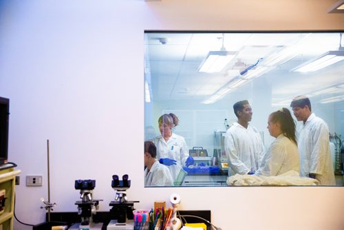 MIKAELA MACKENZIE/WINNIPEG FREE PRESS
Grade 10 students from the Medical Careers Exploration Program at Windsor Park Collegiate work with rat bone marrow stem cell samples at the Youth BIOlab at the Albrechtsen Research Centre in Winnipeg on Thursday, May 2, 2019. 
Winnipeg Free Press 2019