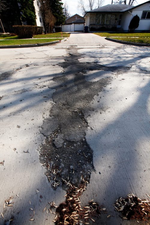 PHIL HOSSACK / WINNIPEG FREE PRESS - Stardust ave between McPhillips and Watson street is on the list to be repaired in the city budget.  - May2, 2019.