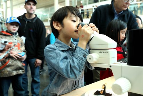RUTH BONNEVILLE / WINNIPEG FREE PRESS 

Kaleb Caluag (6yrs), who loves science,  looks into non-hazardous material in petri dishes through a microscope in the atrium of  Canada's Virology Lab while attending their open house with his parents on Saturday.  

VIROLOGY LAB:  Canadas only Biosafety Level 4 infectious disease facility held a open house for its 20th anniversary of the Canadian Science Centre for Human and Animal Health Saturday.   

See Bill Redekop story. 

May 4, 2019

