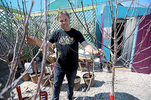 TREVOR HAGAN / WINNIPEG FREE PRESS
Dave Hanson at Sage Gardens Greenhouse, for Declan story, Thursday, May 9, 2019.