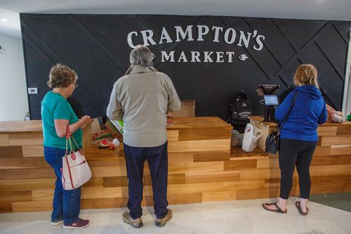 MIKE DEAL / WINNIPEG FREE PRESS
Cramptons Market has officially opened at 7730 Roblin Blvd. in Headingley. It is right beside T&T Seeds.
190510 - Friday, May 10, 2019.