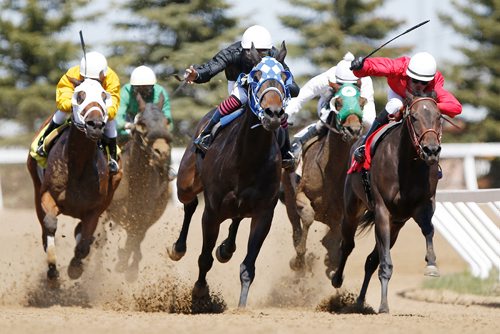 JOHN WOODS / WINNIPEG FREE PRESS
Miss Dilly Daily (6), black, leads Beautiful Bev (1), red, out of the final corner of the second race on opening day at Assiniboia Downs in Winnipeg Sunday, May 12, 2019.

Reporter: Sports Feature