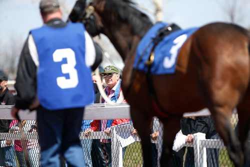 JOHN WOODS / WINNIPEG FREE PRESS
Race fans check out Bold Bulldog and other horses in the paddock prior to the first race on opening day at Assiniboia Downs in Winnipeg Sunday, May 12, 2019.

Reporter: Sports Feature