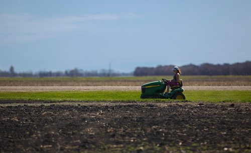 MIKE DEAL / WINNIPEG FREE PRESS
Chantal Wieler, a farmer in the Niverville, MB area cuts grass along one of her fields Tuesday morning.
190514 - Tuesday, May 14, 2019.