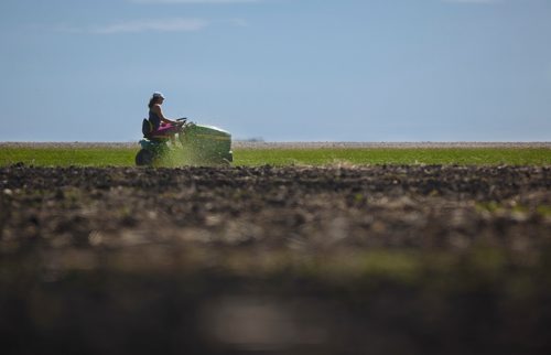 MIKE DEAL / WINNIPEG FREE PRESS
Chantal Wieler, a farmer in the Niverville, MB area cuts grass along one of her fields Tuesday morning.
190514 - Tuesday, May 14, 2019.