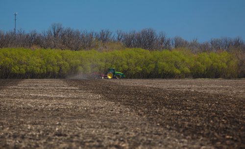 MIKE DEAL / WINNIPEG FREE PRESS
A farmer tills his field near Niverville, MB Tuesday morning.
190514 - Tuesday, May 14, 2019.