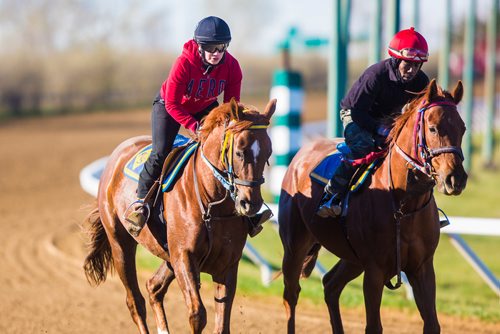 MIKAELA MACKENZIE / WINNIPEG FREE PRESS
Jockey Kayla Pizarro, who won two races on opening day, at the Assiniboia Downs in Winnipeg on Thursday, May 16, 2019. For George Williams story.
Winnipeg Free Press 2019.