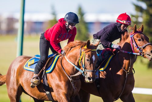 MIKAELA MACKENZIE / WINNIPEG FREE PRESS
Jockey Kayla Pizarro, who won two races on opening day, at the Assiniboia Downs in Winnipeg on Thursday, May 16, 2019. For George Williams story.
Winnipeg Free Press 2019.