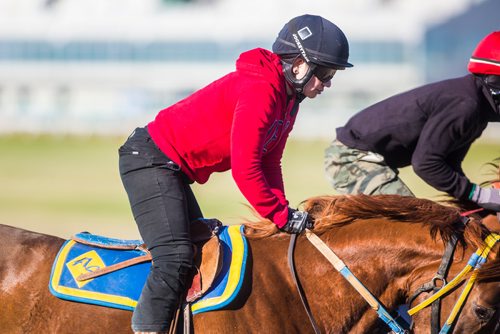 MIKAELA MACKENZIE / WINNIPEG FREE PRESS
Jockey Kayla Pizarro, who won two races on opening day, at the Assiniboia Downs in Winnipeg on Thursday, May 16, 2019. For George Williams story.
Winnipeg Free Press 2019.