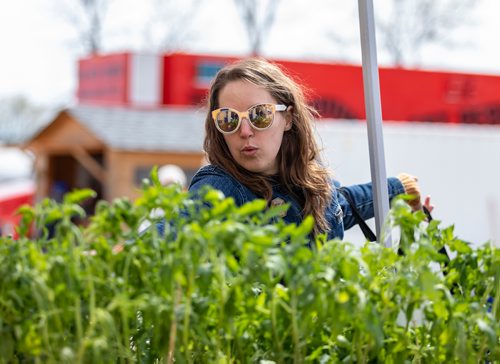 SASHA SEFTER / WINNIPEG FREE PRESS
Devan Ostapyk (left) and Tyler Beaszley pick out a few new plants for their garden at the St. Norbert Farmers Market on the opening day of the market's outdoor season.
190518 - Saturday, May 18, 2019.