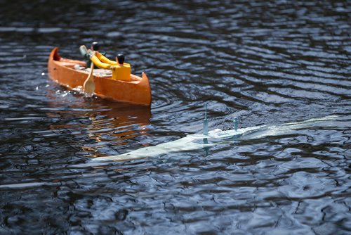 JOHN WOODS / WINNIPEG FREE PRESS
A German Seehund submarine has a close call with a canoe as members of the Winnipeg Model Boat Club operate their model boats at the Assiniboine Park duck pond in Winnipeg Sunday, May 19, 2019. 
Reporter: Intersection - Sanderson