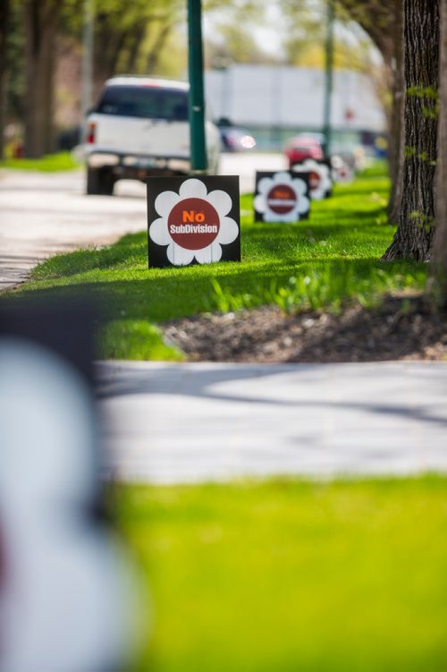 MIKAELA MACKENZIE / WINNIPEG FREE PRESS
Signs against subdividing 202 Handsart, whose current owner would like to split the lot into two and build a second home on the southern portion, in Winnipeg on Tuesday, May 21, 2019. For Aldo Santin story.
Winnipeg Free Press 2019.