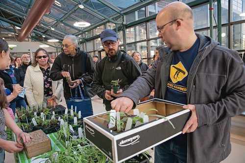 Canstar Community News The University of Winnipeg biology department's annual plant giveaway. (EVA WASNEY/CANSTAR COMMUNITY NEWS/METRO)