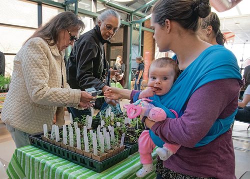 Canstar Community News The University of Winnipeg biology department's annual plant giveaway. (EVA WASNEY/CANSTAR COMMUNITY NEWS/METRO)