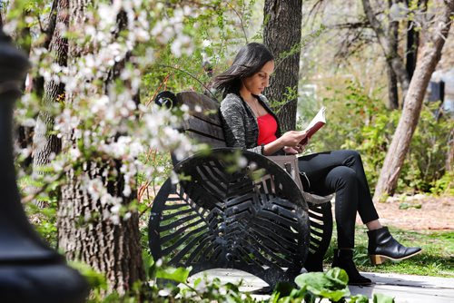 RUTH BONNEVILLE / WINNIPEG FREE PRESS 


Justin Ezzahir takes advantage of the warm spring day as she reads her book on her lunch break on a park bench next to spring blossoms at Steven Juba Park Tuesday.  



May 21, 2019
