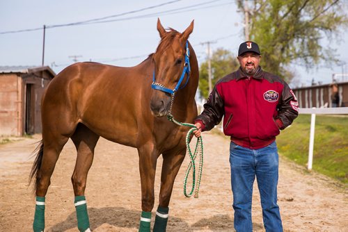 MIKAELA MACKENZIE / WINNIPEG FREE PRESS
Trainer Juan Pablo Silva with horse Hot Rodin at the Assiniboia Downs in Winnipeg on Thursday, May 23, 2019. For George Williams story.
Winnipeg Free Press 2019.