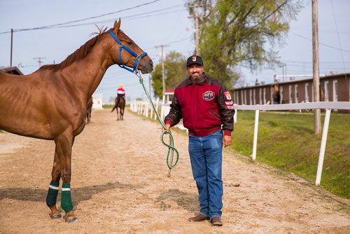 MIKAELA MACKENZIE / WINNIPEG FREE PRESS
Trainer Juan Pablo Silva with horse Hot Rodin at the Assiniboia Downs in Winnipeg on Thursday, May 23, 2019. For George Williams story.
Winnipeg Free Press 2019.