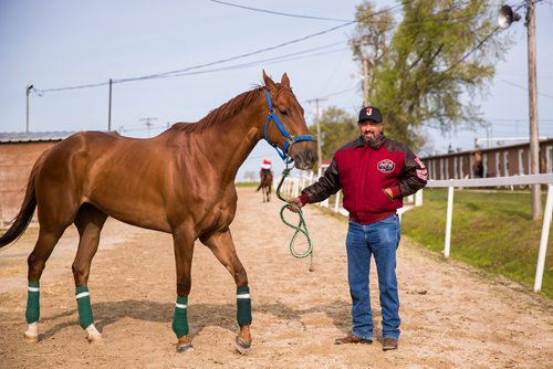 MIKAELA MACKENZIE / WINNIPEG FREE PRESS
Trainer Juan Pablo Silva with horse Hot Rodin at the Assiniboia Downs in Winnipeg on Thursday, May 23, 2019. For George Williams story.
Winnipeg Free Press 2019.