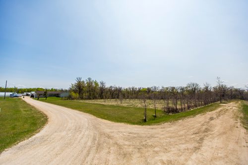 MIKAELA MACKENZIE / WINNIPEG FREE PRESS
Two private lots for sale south of the Perimeter Highway, with forested areas and land bordering on the Seine River, in Winnipeg on Thursday, May 23, 2019. The city is considering buying them to preserve the treed areas and potentially link trails on the Seine River north of the Perimeter. For Ryan Thorpe story.
Winnipeg Free Press 2019.