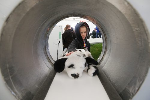 JOHN WOODS / WINNIPEG FREE PRESS
Erika Perche, 6, puts her toy dog Rosie in the Teddy Bear Picnic MRI in Assiniboine Park, Winnipeg Sunday, May 26, 2019.

Reporter: ?