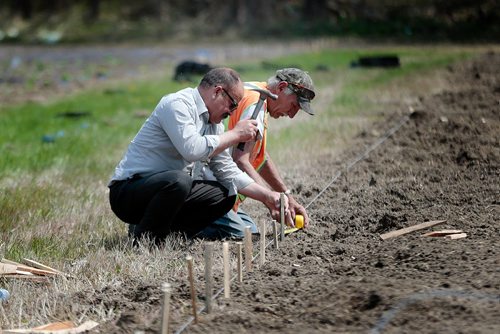 PHIL HOSSACK / WINNIPEG FREE PRESS - Men hammer stakes into rows to be planted at a Yazidi Community Garden near St Francis Xavier Tuesday afternoon. Carol Sanders story. - May 28, 2019.