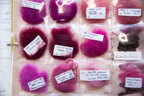 MIKAELA MACKENZIE / WINNIPEG FREE PRESS
A binder showing lichen-dyed wool samples  that Margaret Ferguson researched on display at the Manitoba Crafts Museum and Library in Winnipeg on Thursday, May 30, 2019.  The binder is part of a museum exhibit called the Women of the Manitoba Crafts Guild that runs now through to December. For Carol Sanders story.
Winnipeg Free Press 2019.