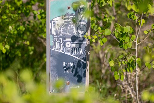 SASHA SEFTER / WINNIPEG FREE PRESS
A marker on the the Harte Trail in Charleswood. 
190530 - Thursday, May 30, 2019.