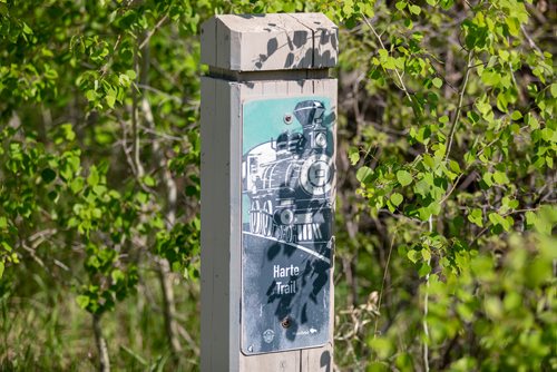 SASHA SEFTER / WINNIPEG FREE PRESS
A marker on the the Harte Trail in Charleswood. 
190530 - Thursday, May 30, 2019.