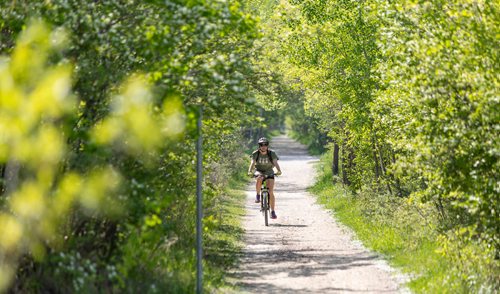 SASHA SEFTER / WINNIPEG FREE PRESS
Cyclist Kaitlin Drew rides eastbound on the the Harte Trail in Charleswood. 
190530 - Thursday, May 30, 2019.