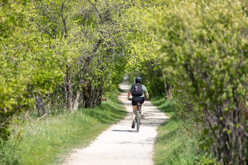 SASHA SEFTER / WINNIPEG FREE PRESS
Cyclist Kaitlin Drew rides eastbound on the the Harte Trail in Charleswood. 
190530 - Thursday, May 30, 2019.