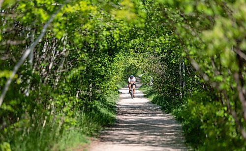 SASHA SEFTER / WINNIPEG FREE PRESS
A cyclist rides westbound through a tunnel of trees on the the Harte Trail in Charleswood. 
190530 - Thursday, May 30, 2019.