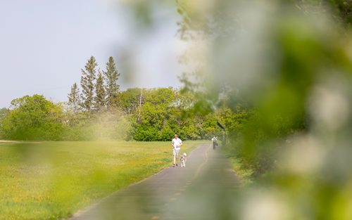 SASHA SEFTER / WINNIPEG FREE PRESS
A jogger runs with his dog westbound on the Yellow Ribbon Trail in St. James
190530 - Thursday, May 30, 2019.