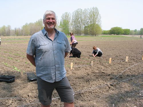 Canstar Community News May 28, 2019 - Michael Wilson, Charleswood United Church minister, is shown in a field in the RM of St. Francois Xavier where Yazidi newcomers have planted vegetables on about six acres of donated land. The project is facilitated by the church and Operation Ezra and is meant to help feed about 250 recent immigrants to Winnipeg from Syria and Iraq. (ANDREA GEARY/CANSTAR COMMUNITY NEWS)