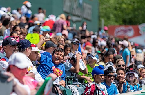 SASHA SEFTER / WINNIPEG FREE PRESS
A young Goldeyes fan celebrates after catching a foul ball during game against Sioux City Explorers at Shaw Park.
190604 - Tuesday, June 04, 2019.